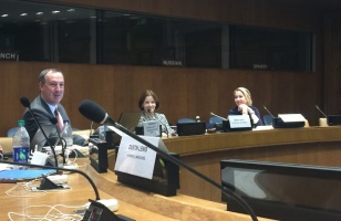 Al-Haq Presents at Seminar on the Protection of the Environment during Armed Conflict, United Nations, New York