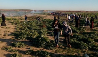 Al-‘Awda return camp, east of Jabaliya – Al-Haq © 8 March 2019