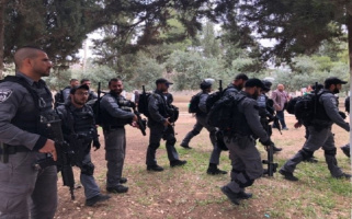 AIOF in Al-Aqsa Compound, Al-Haq (C) 13 May 2018.