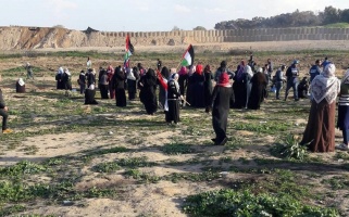 Al-Haq photo, taken on 22 February 2019, Central Governorate.