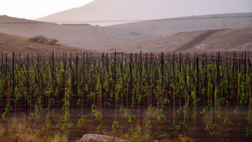 Israeli-settlement-in-the-occupied-Jordan-Valley