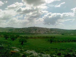 Palestinian-Land-Day-Beit-Dajan