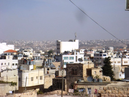 WF_Image_Nov_7