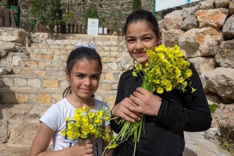 Al-Haq Annual Field Report on Human Rights Violations in 2020