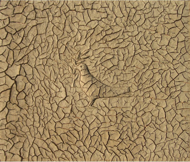 Land Day 2021: The Crimes of the Occupation and Dispossession of Palestinians Continue