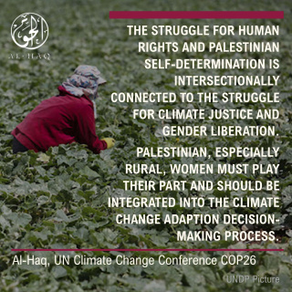 COP26: Intersectional Oppression, the Aggravated Impacts of Climate Change on Palestinian Women 