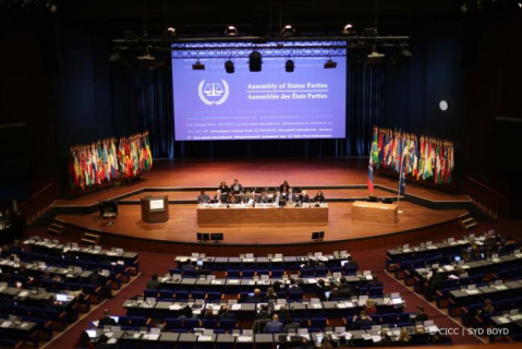 Press-Release: Al-Haq Joint Statement at the General Debate of the 20th session of the Assembly of States Parties to the Rome Statute of the International Criminal Court