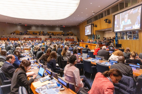 Joint Statement General Debate of the 22nd Session of the Assembly of State Parties to the Rome Statute of the International Criminal Court