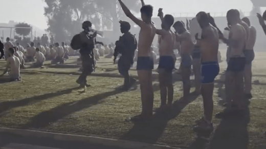 On International Day for the Elimination of Racial Discrimination, Dehumanizing Racist Hate Speech Towards Palestinians is Inciting Genocide