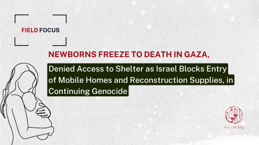Field Focus: Newborns Freeze to Death in Gaza