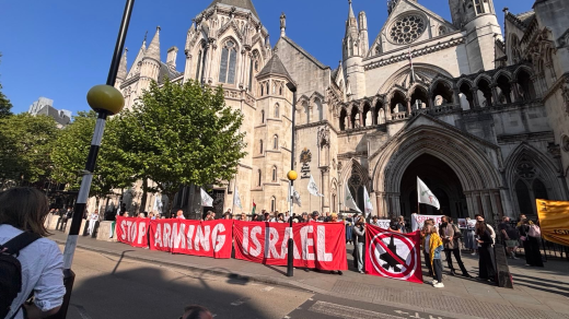 UK’s ‘flawed’ assessment of genocide in Gaza revealed in court that contradicts claims made in Parliament
