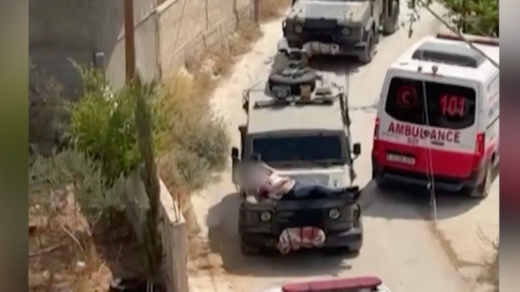 Submission to the Special Rapporteur on Israel's Use of Palestinian Children as Human Shields, Breaching Sacrosanct Principles of International Humanitarian Law