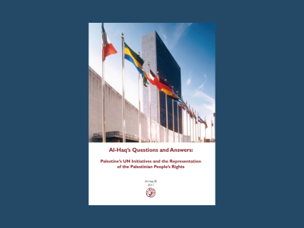Q&A: Palestine's UN Initiatives and the Representation of the Palestinian People's Rights