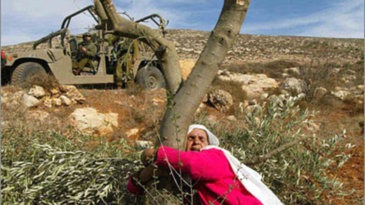 رسالة الحق في اليوم العالمي للمرأة: 