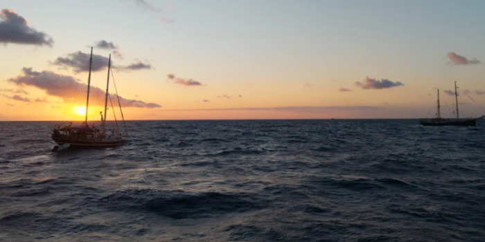 PNGO and NGOs Statement Condemning the Israeli ‎Attack and Piracy against the Global Sumud Flotilla and Calling for the Immediate ‎Release of the Detainees